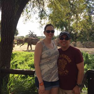 Meet your Posher, Amy